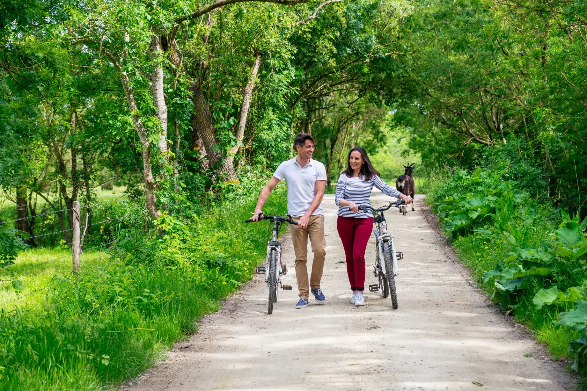 balade-velo-niort-marais-poitevin