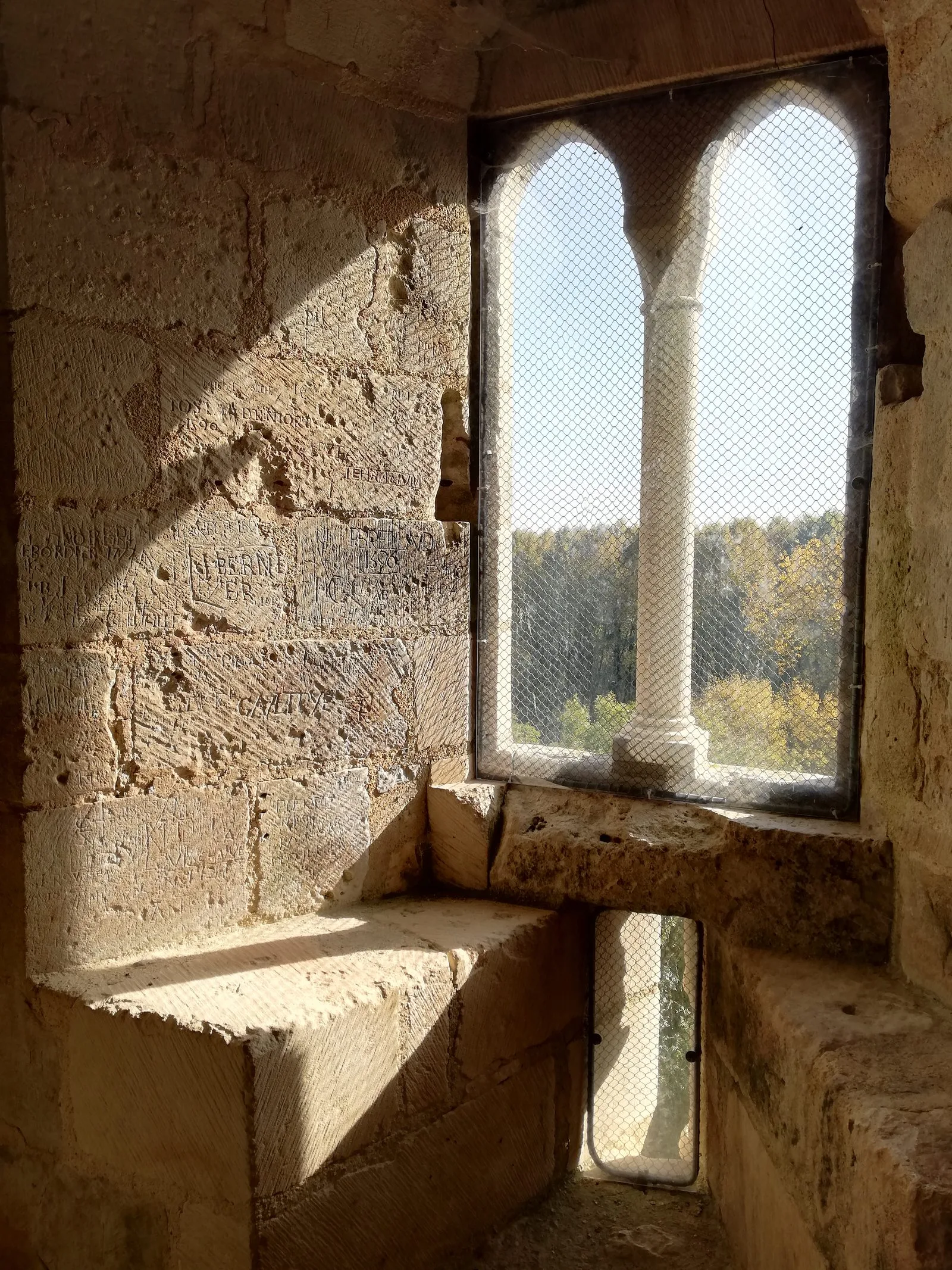 interieur-chateau-coudray-salbart-echire