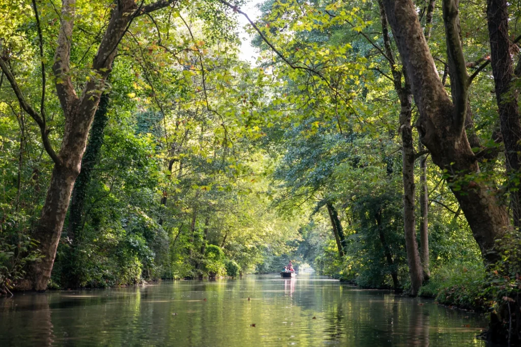 parc-naturel-regional-grand-site-de-france-niort-marais-poitevin