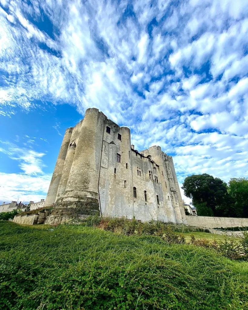 donjon-de-niort-marais-poitevin-en-ete