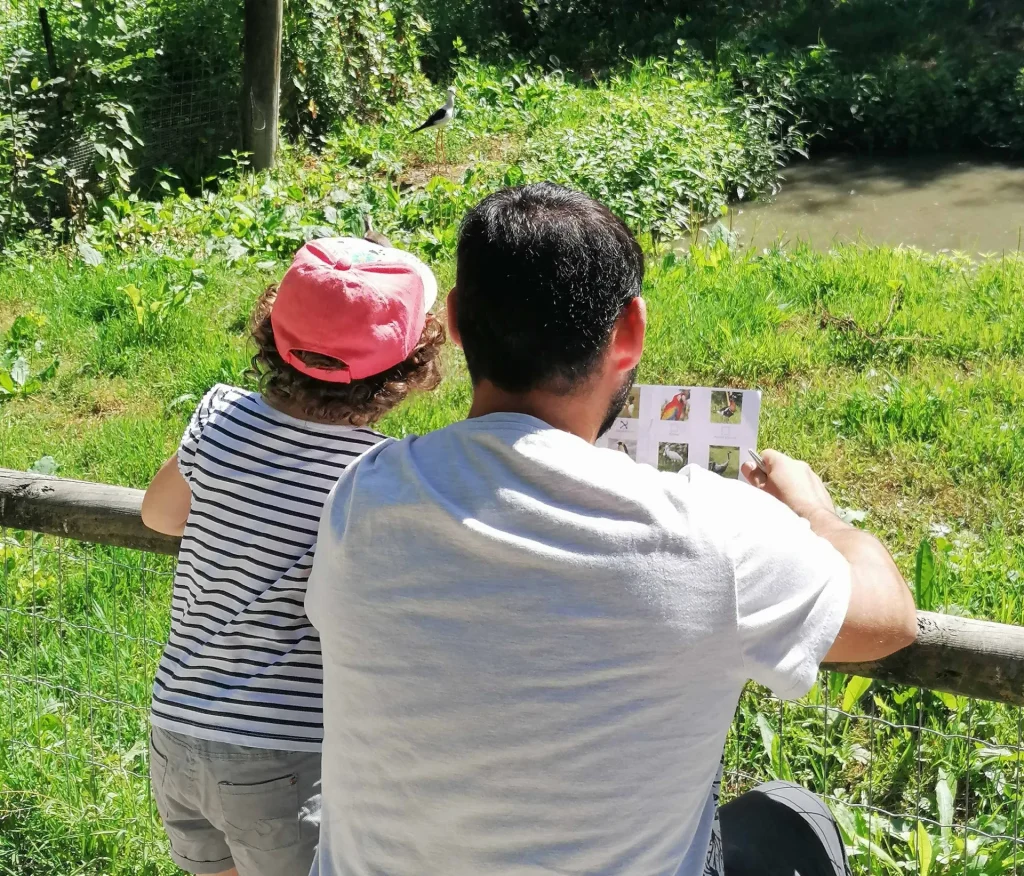 Visite parc ornithologique avec les enfants