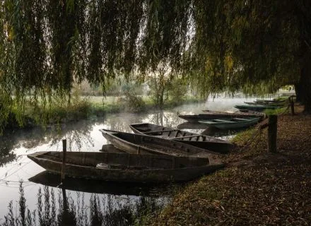 van-niort-marais-poitevin