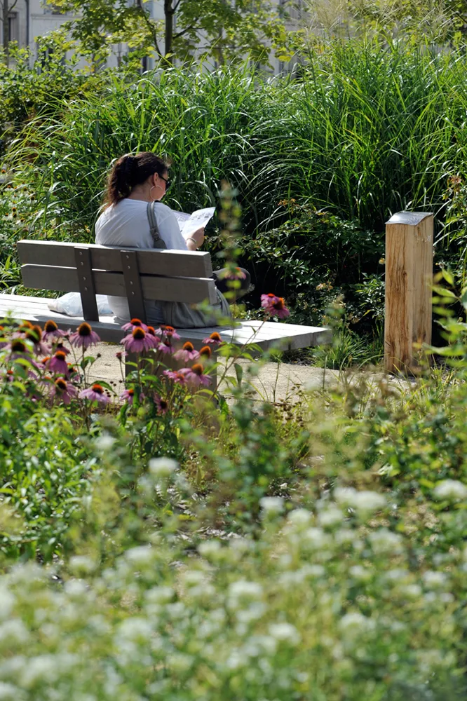 pause_lecture_jardin_breche_niort_marais_poitevin