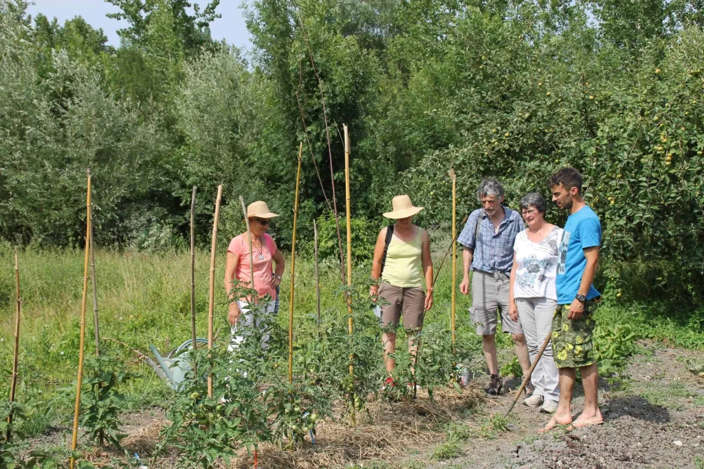 visite-du-potager-par-david-hervouet-niort-marais-poitevin