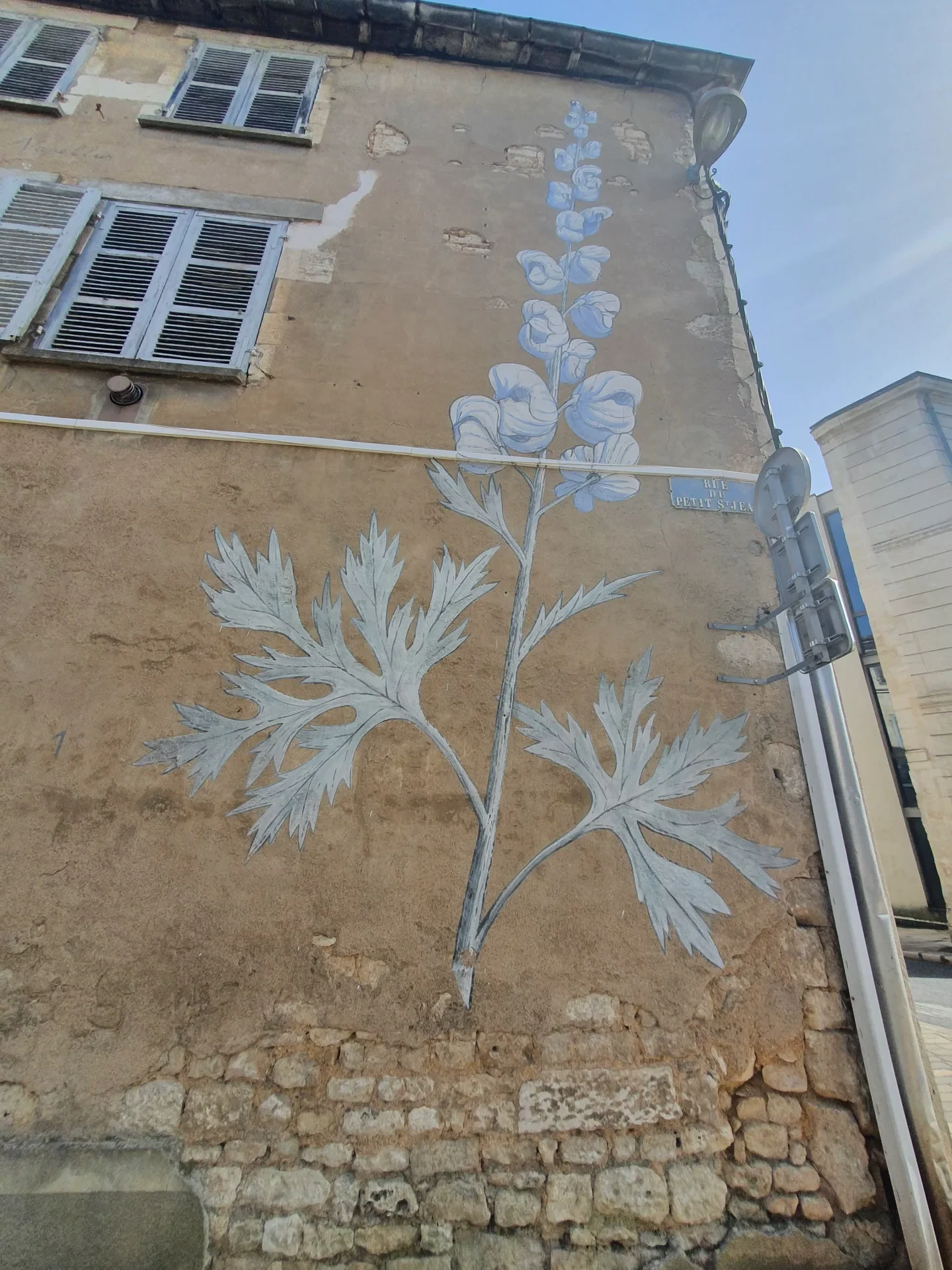 street-art-graffitis-niort-marais-poitevin