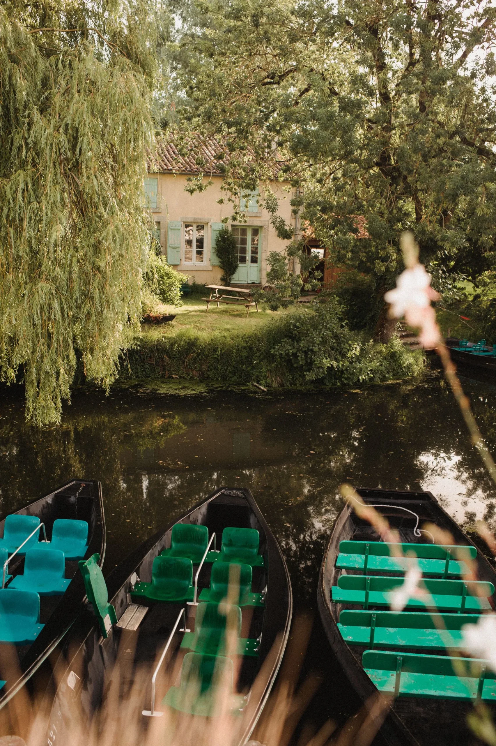 arcais-dantan-preservation-naturel-habitation-niort-marais-poitevin