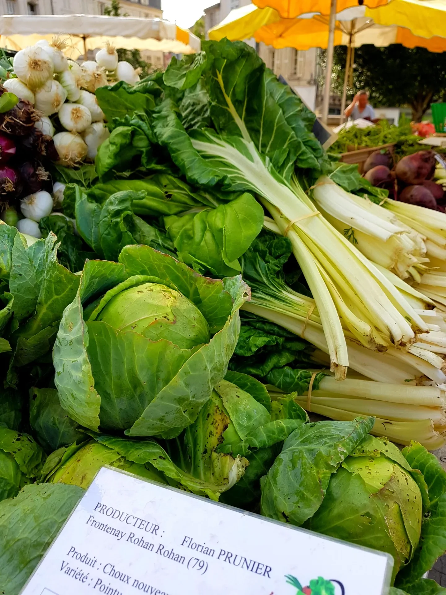 legumes-marche-des-halles-de-niort-marais-poitevin