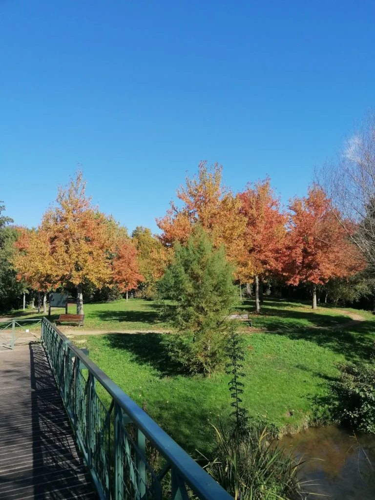 parc-jardin-pre-leroy-centre-ville-niort-marais-poitevin