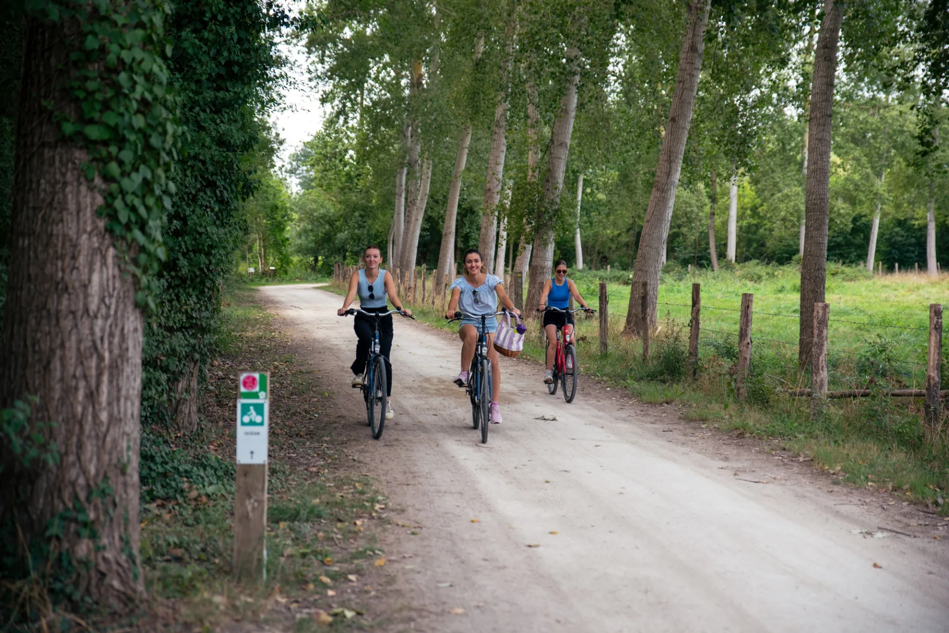 visiter-le-marais-poitevin-a-velo-niort-marais-poitevin