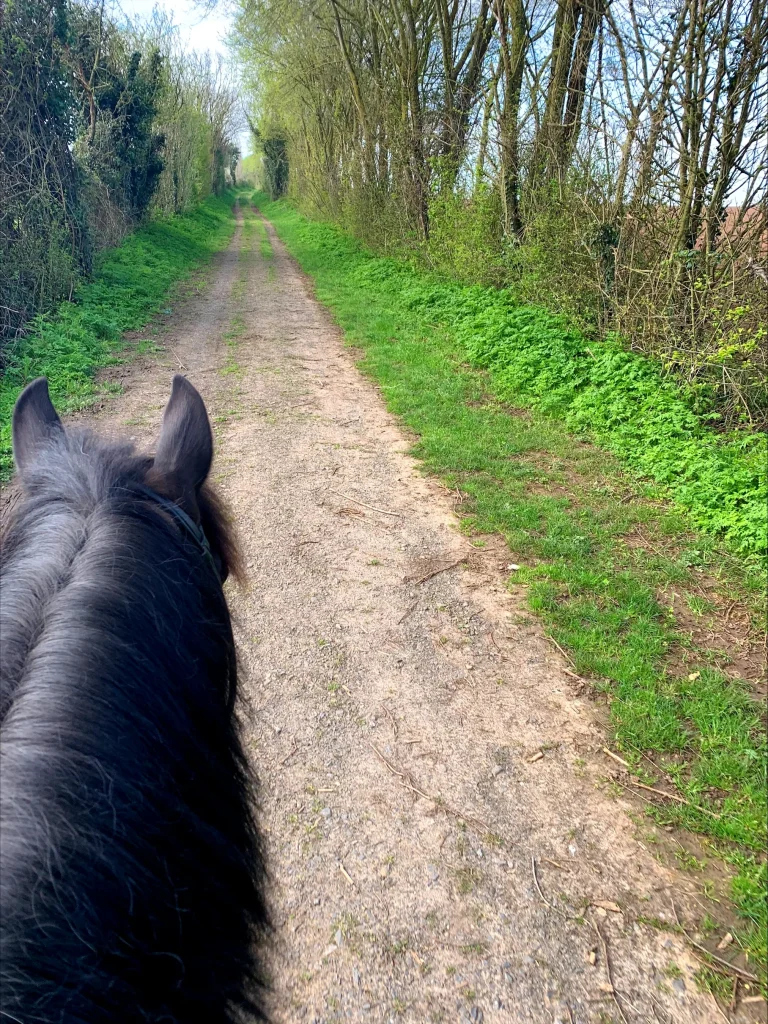 balade-a-cheval-foret-itinerance-niort-marais-poitevin