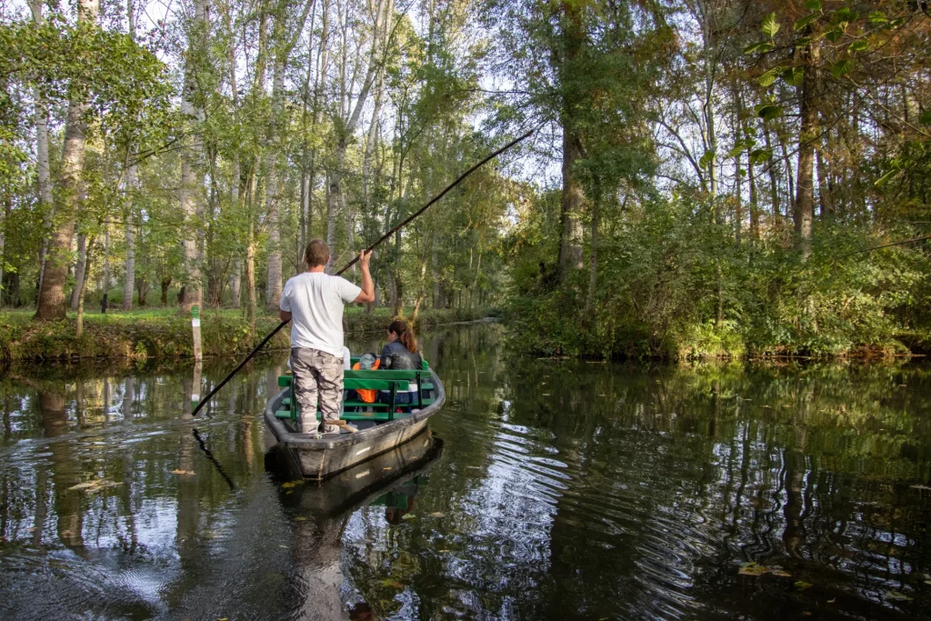 balade-en-barque-en-automne-niort-marais-poitevin