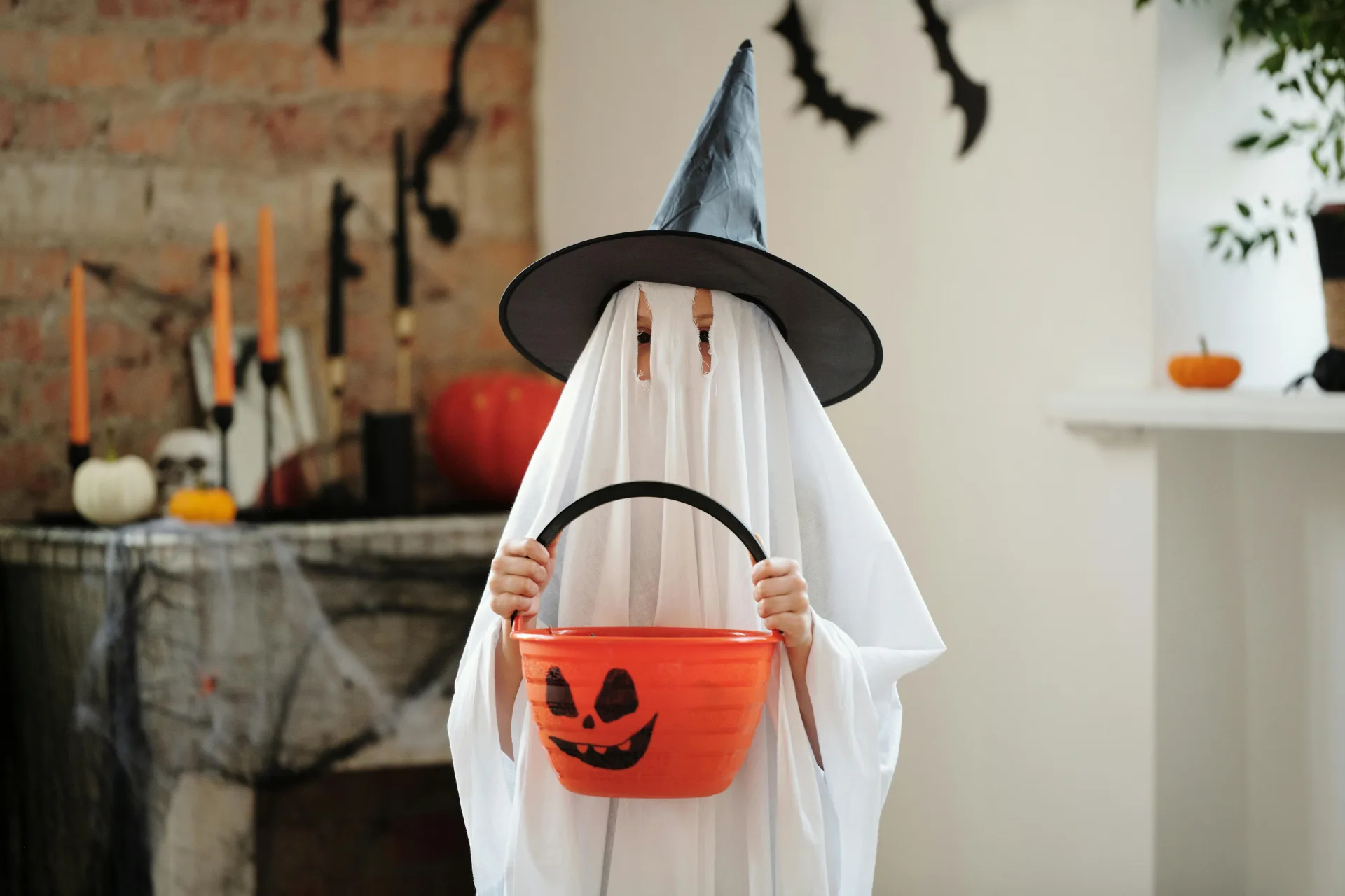 Que faire pendant les vacances d’automne ?