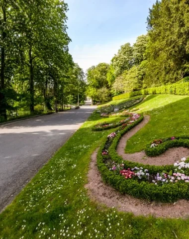 parterres-de-fleurs-niort-marais-poitevin