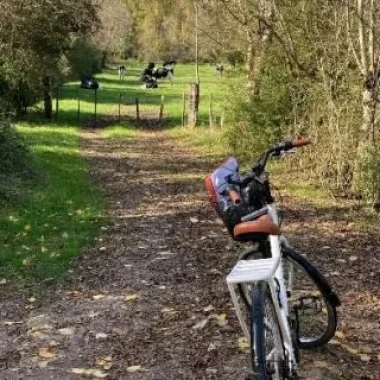 balade-a-velo-niort-marais-poitevin