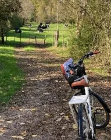 balade-a-velo-niort-marais-poitevin