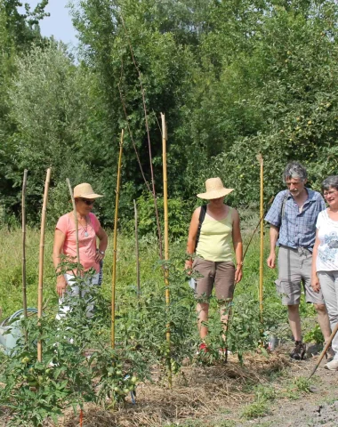 visite-du-potager-par-david-hervouet-niort-marais-poitevin