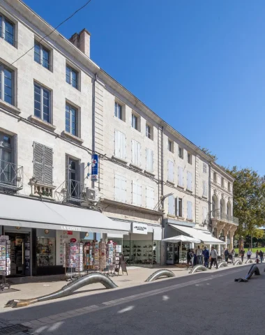 rue-commercante-centre-ville-niort-marais-poitevin