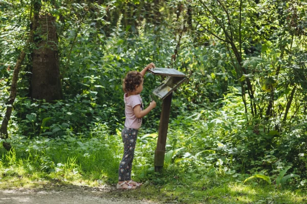 parc-ornithologique-en-famille-avec-enfants-niort-marais-poitevin