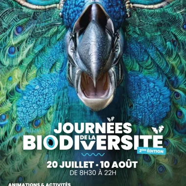 affiche-journee-biodiversite-niort-marais-poitevin-DE-LA-BIODIVERSITE_2023_Plan-de-travail-1-compressed-scaled (2)
