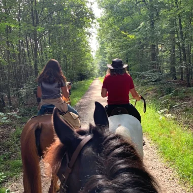 balade-a-cheval-forets-itinerance-niort-marais-poitevin