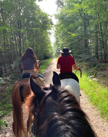 balade-a-cheval-forets-itinerance-niort-marais-poitevin