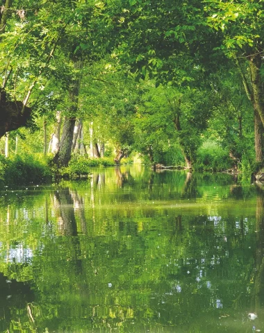 nature-venise-verte-niort-marais-poitevin