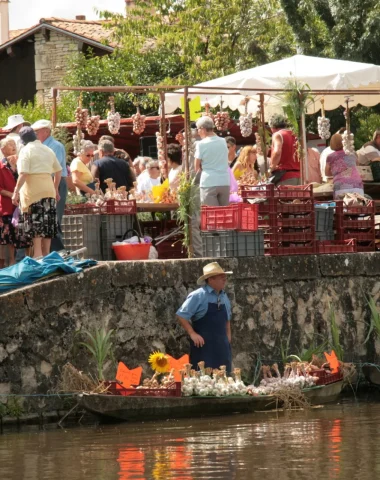 marche-sur-leau-au-vanneau-irleau-niort-marais-poitevin