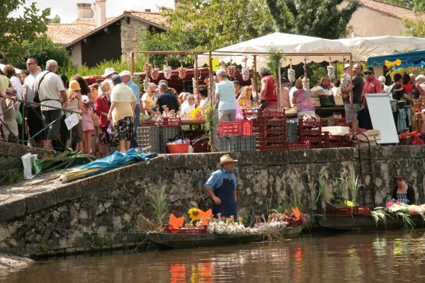 marche-sur-leau-au-vanneau-irleau-niort-marais-poitevin