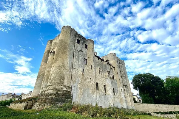 donjon-de-niort-marais-poitevin-en-ete