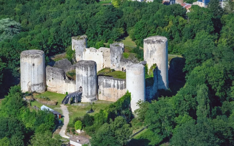 chateau-du-coudray-salbart-echire