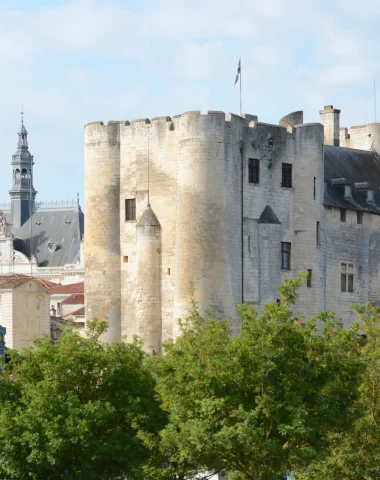 donjon-de-niort-marais-poitevin-centre-ville