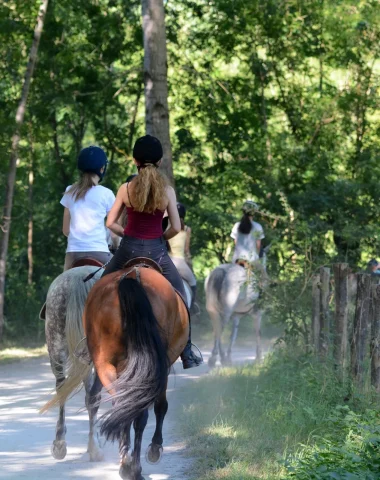 balade-a-cheval-niort-marais-poitevin