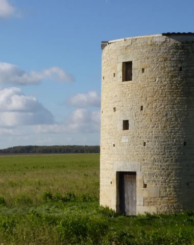 le-moulin-joyeux-olbreuse-usseau-niort-marais-poitevin