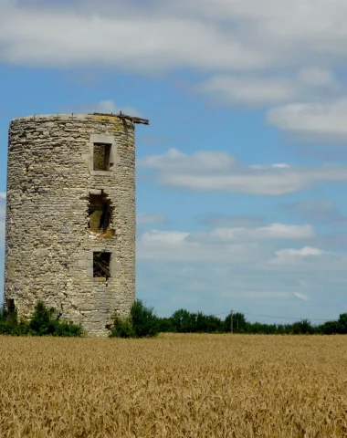 commune-juscorps-niort-marais-poitevin