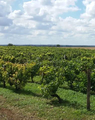 la-foye-monjault-niort-marais-poitevin