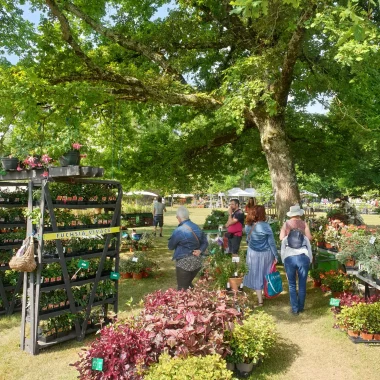 la-fete-des-plantes-et-du-jardin-niort-marais-poitevin